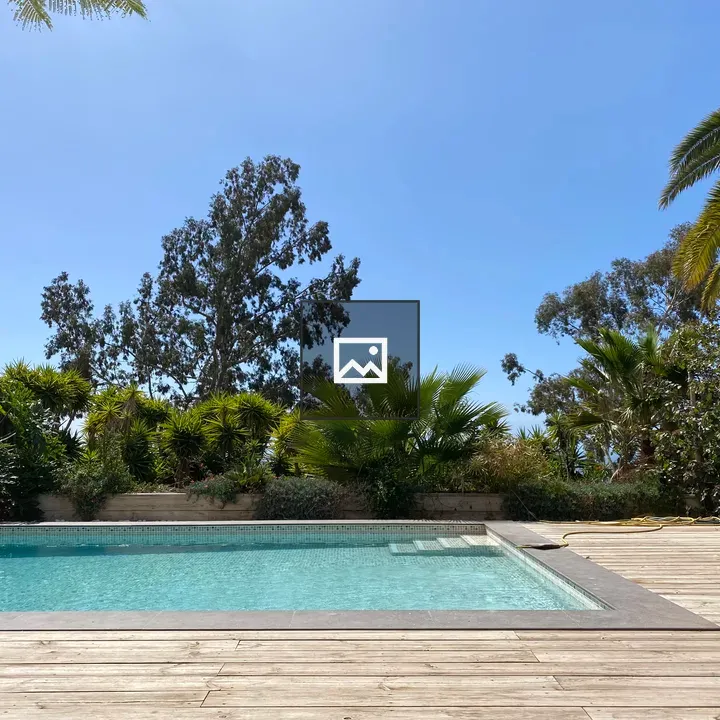 Swimming Pool Deck Scene