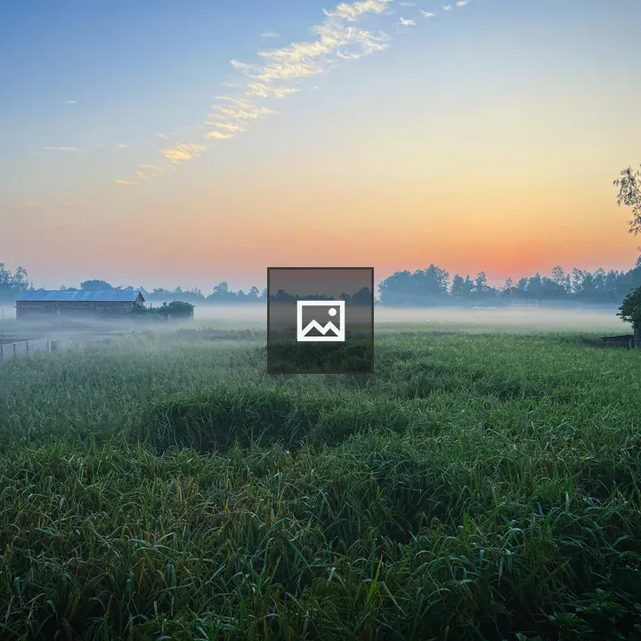 Countryside Morning Scene