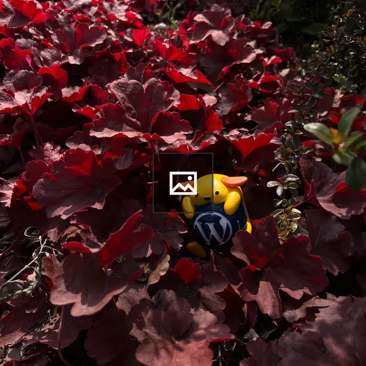 Nature Wapuu Wallpaper Red Flowers