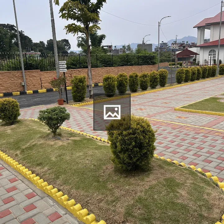 Landscaped Grass Patch with Bushes
