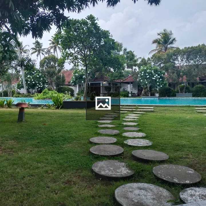 Grassy lawn with circular stone path