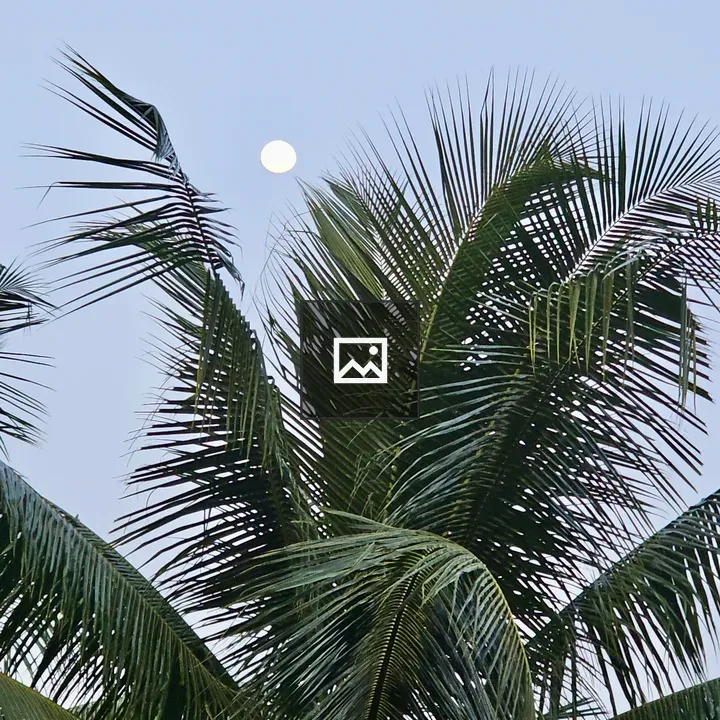 Moon over coconut leaves