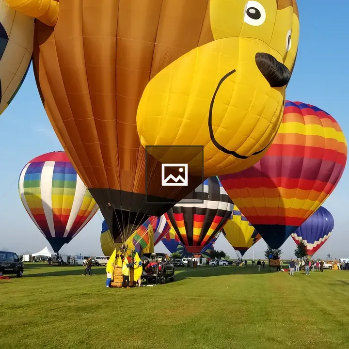 Hot Air Balloon Festival