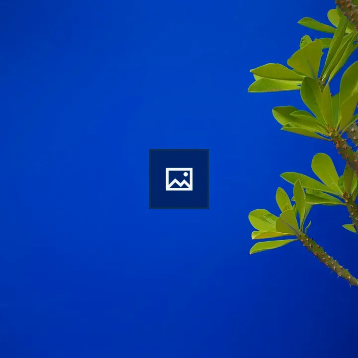 Green leaves and blue wall