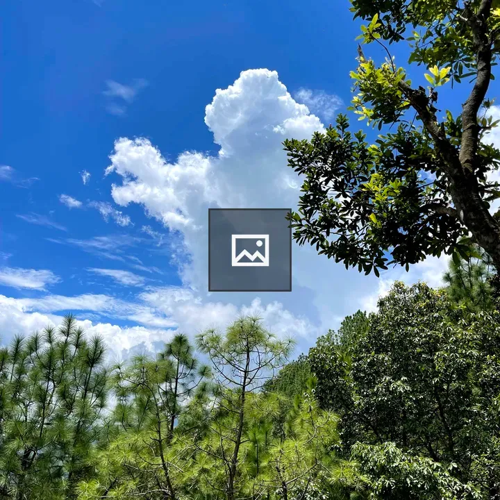 Green Forest with Blue Sky
