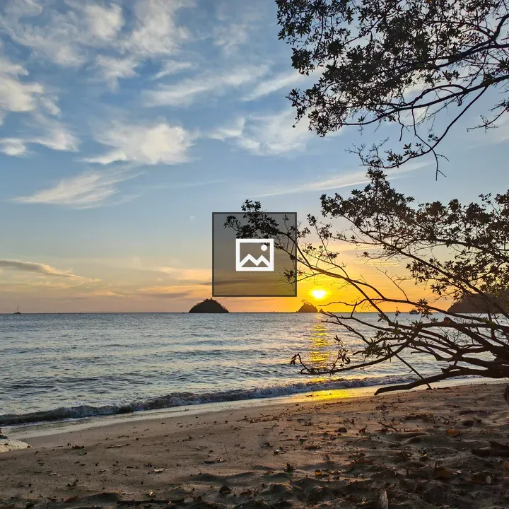 Beach at Sunset with Trees