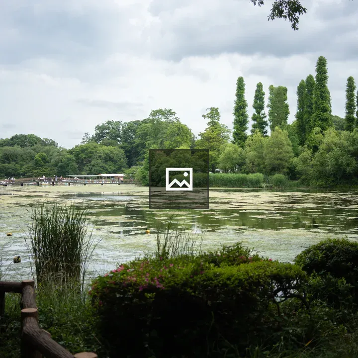 Lake Inokashira with trees