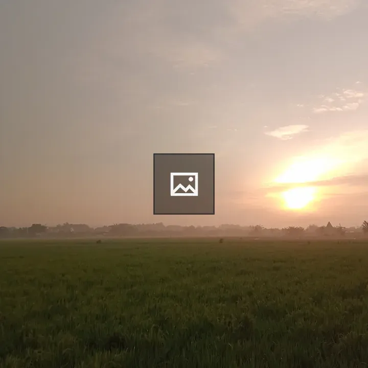 Field at Sunrise