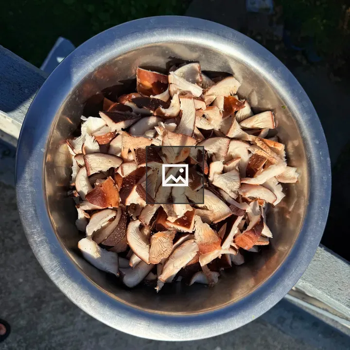 Silver Bowl of Chopped Mushrooms