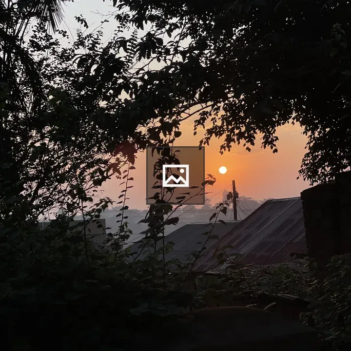 Sunset silhouette through leafy branches