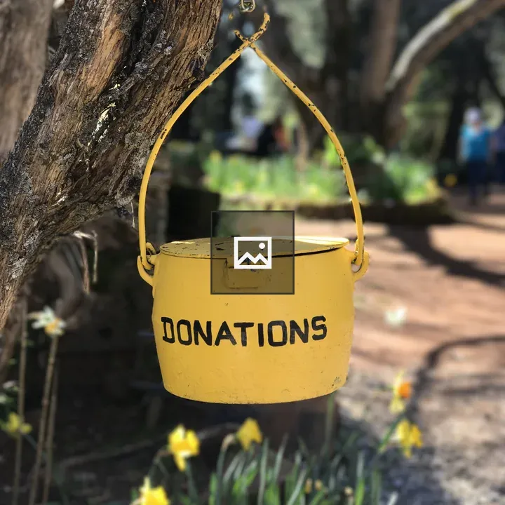 Yellow Donations Bucket With Flowers