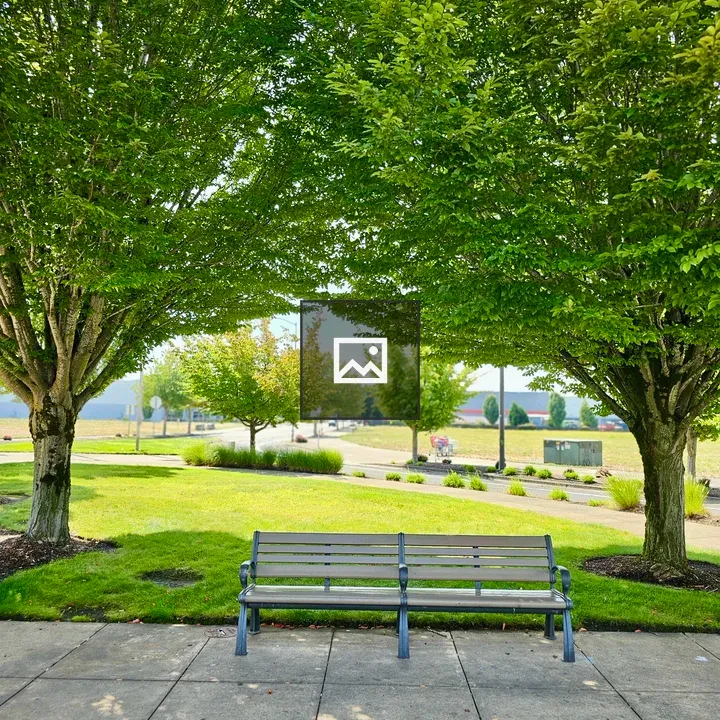 Park Bench in Green Park