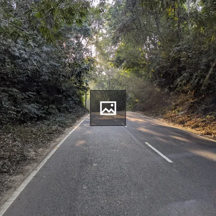 Narrow Road Through Dense Greenery