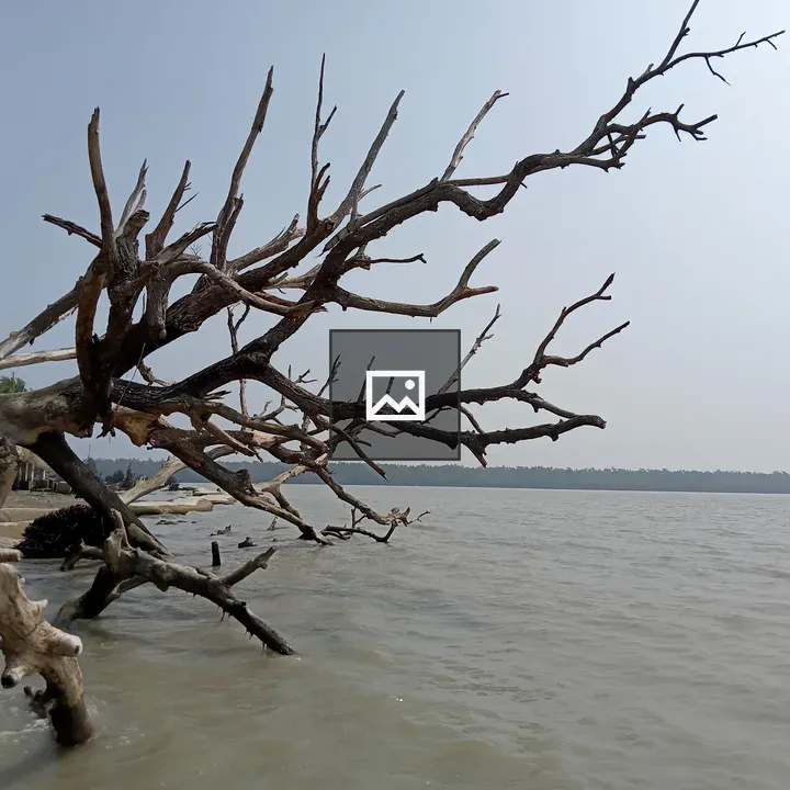 Kotka Sea Beach at Sundarbans