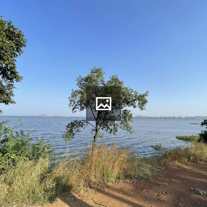 Lake scene with tree foreground