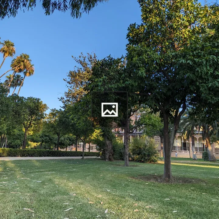 Trees in front of historic building