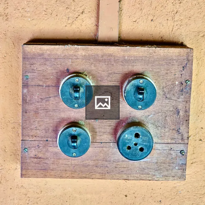 Vintage electric switches and wirings