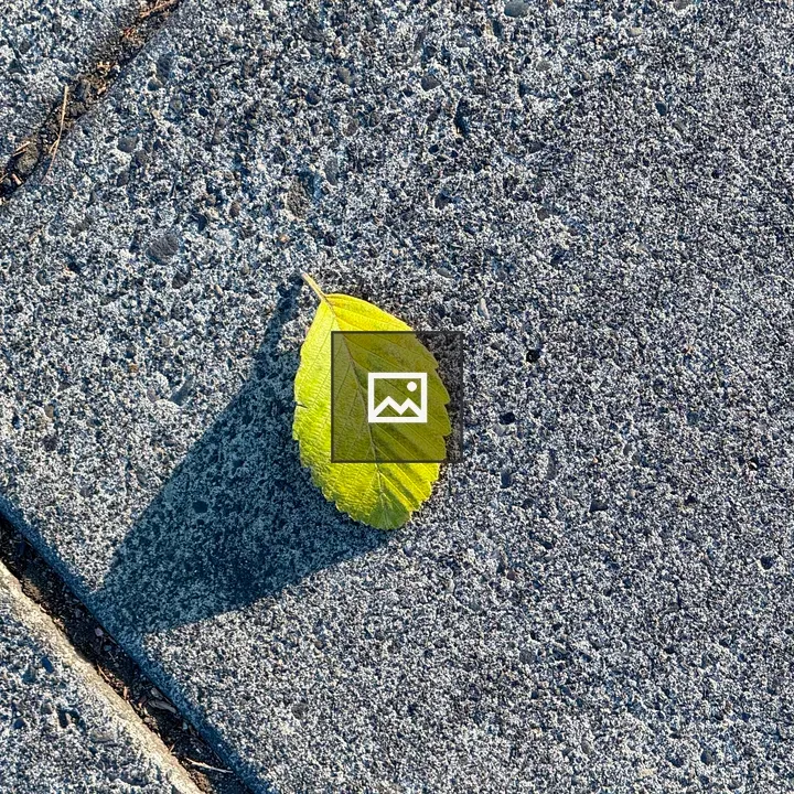 Yellow-green Leaf on Gray Pavement