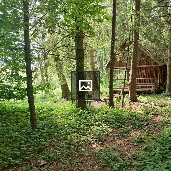 Forest still life