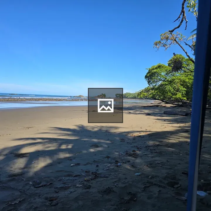 A Quiet Beach with Trees and Sky