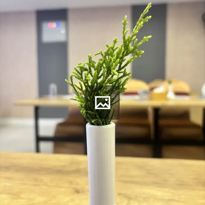 White vase with green plant
