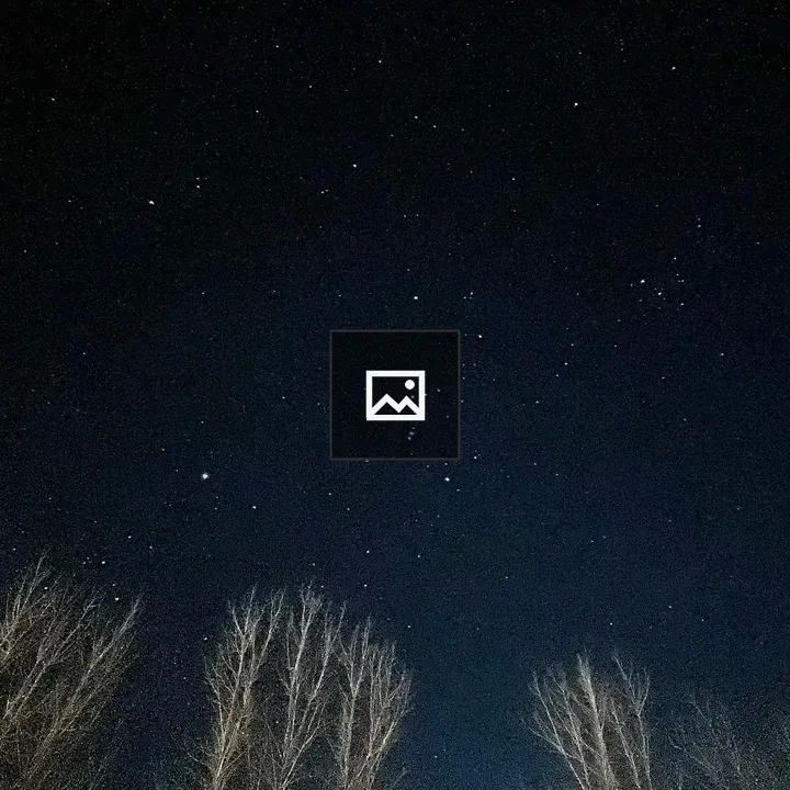 Night Sky Over Barren Trees