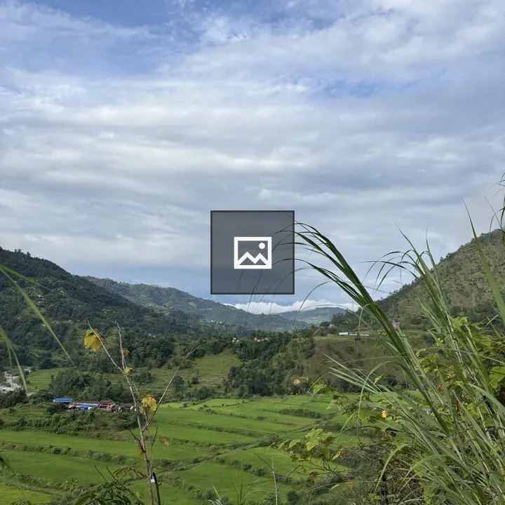 Panoramic Rice Hills Landscape