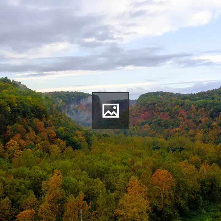 Autumn leaves in Letchworth State Park
