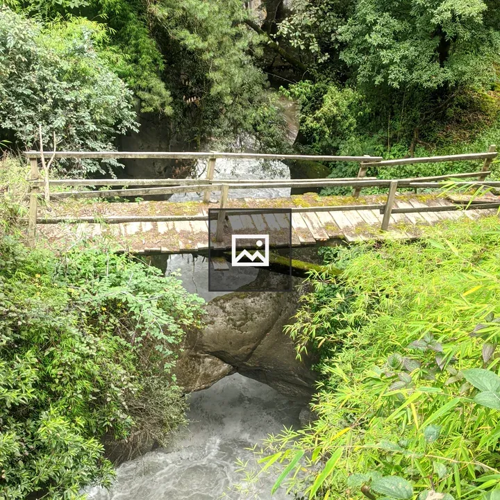 Wooden bridge over river