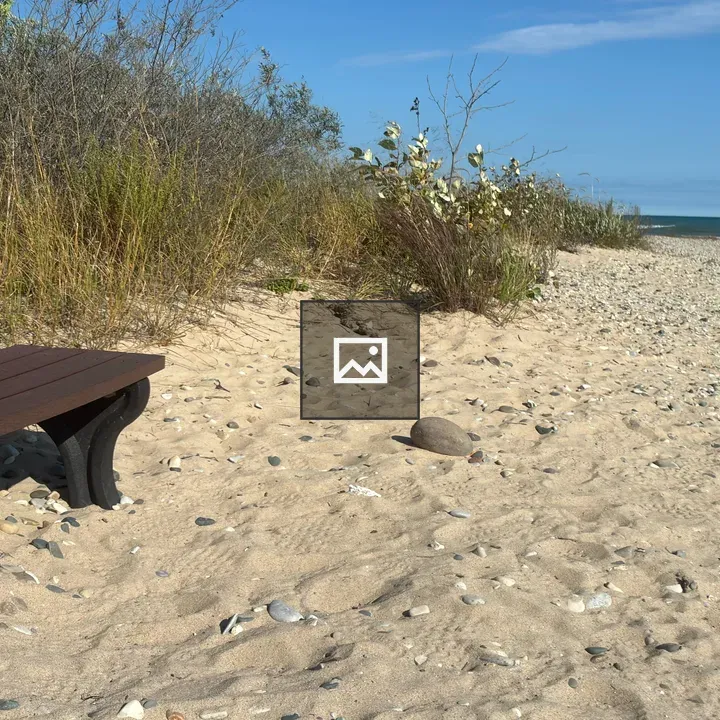 Wooden bench on beach with grasses