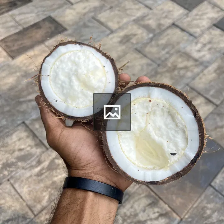 Coconut halves in hand