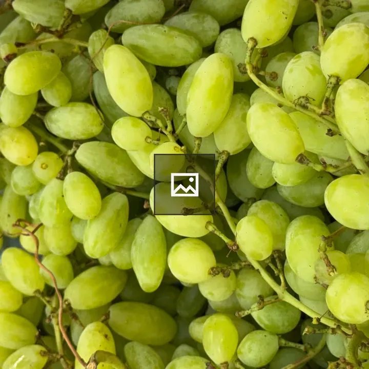 Close-up Green Grapes