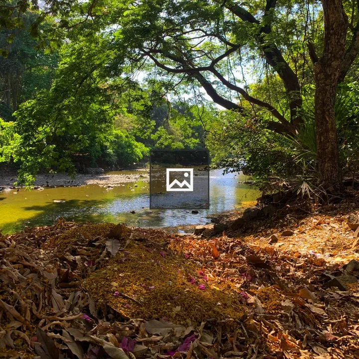 River with Autumn Leaves