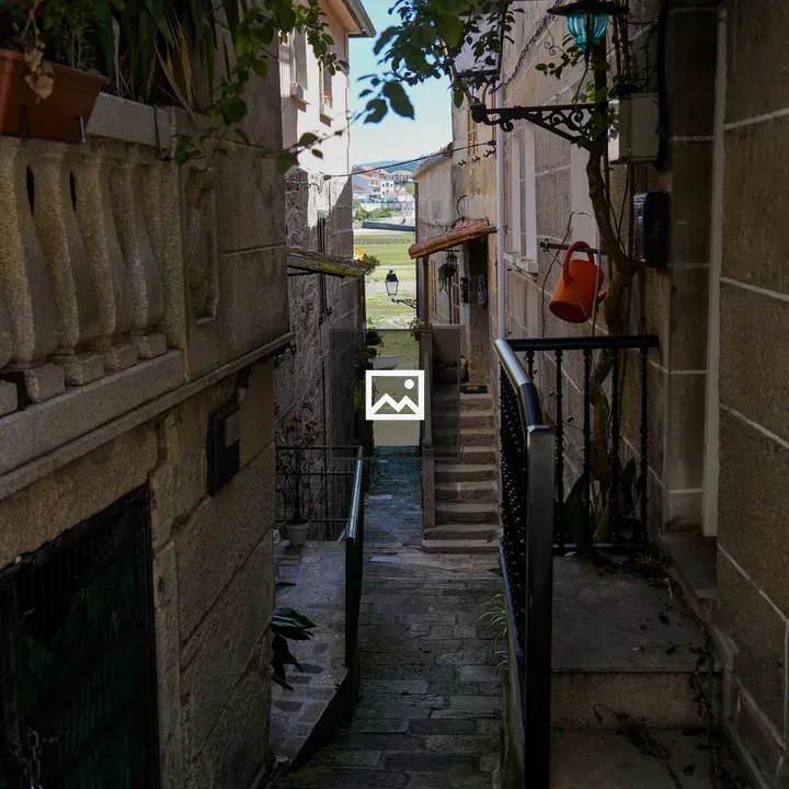 Narrow Alley with Plant and Watering Can