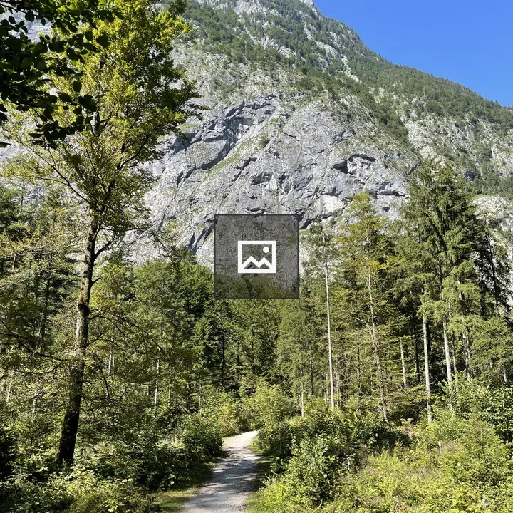 Path toward Kleiner Göll