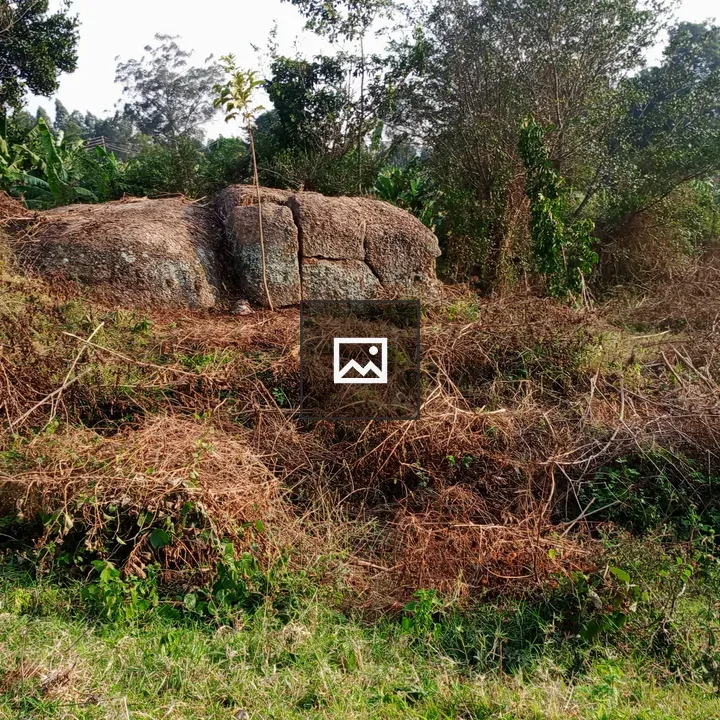 Large stone protruding from ground