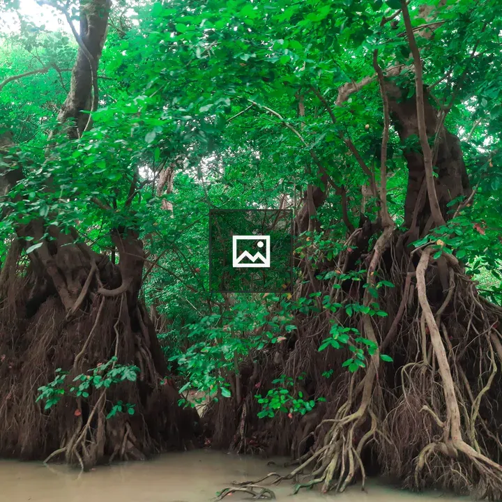 Mystical tree in swamp forest