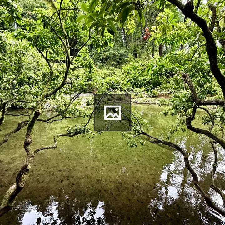 Pond reflection at Japanese Garden