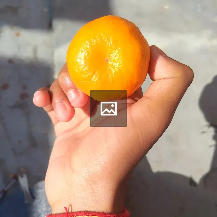 Hand holding orange fruit