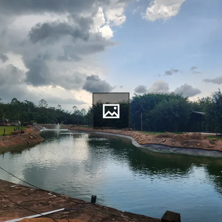 Pond surrounded by greenery