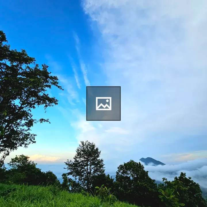 Amazon View Point landscape