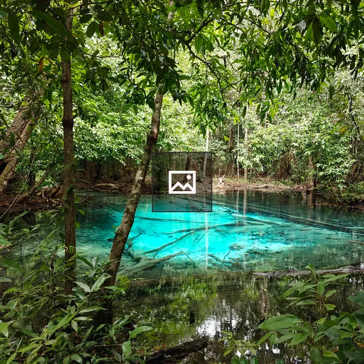 Blue Pool Forest Scene
