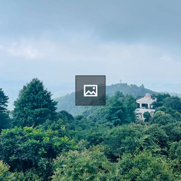 Forest landscape Nagarkot view
