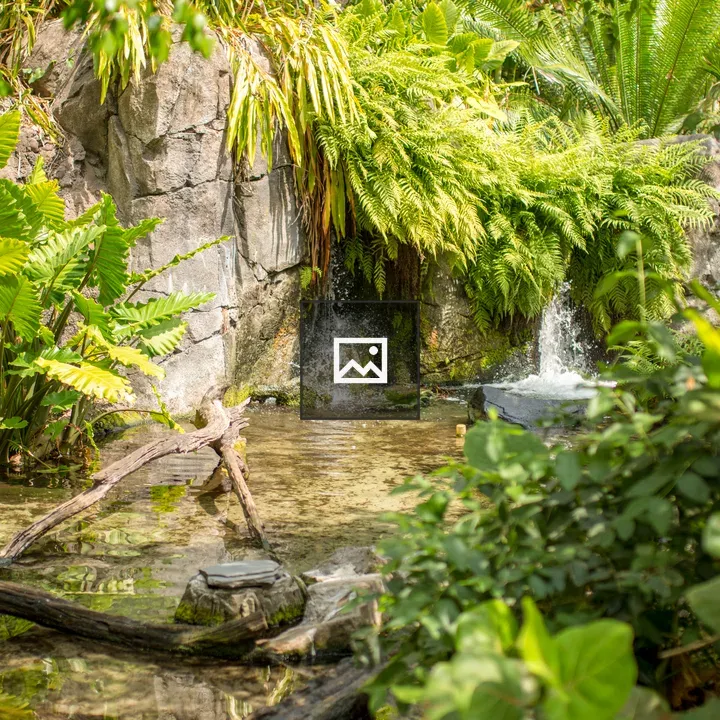 Small waterfall along a plant-filled creek
