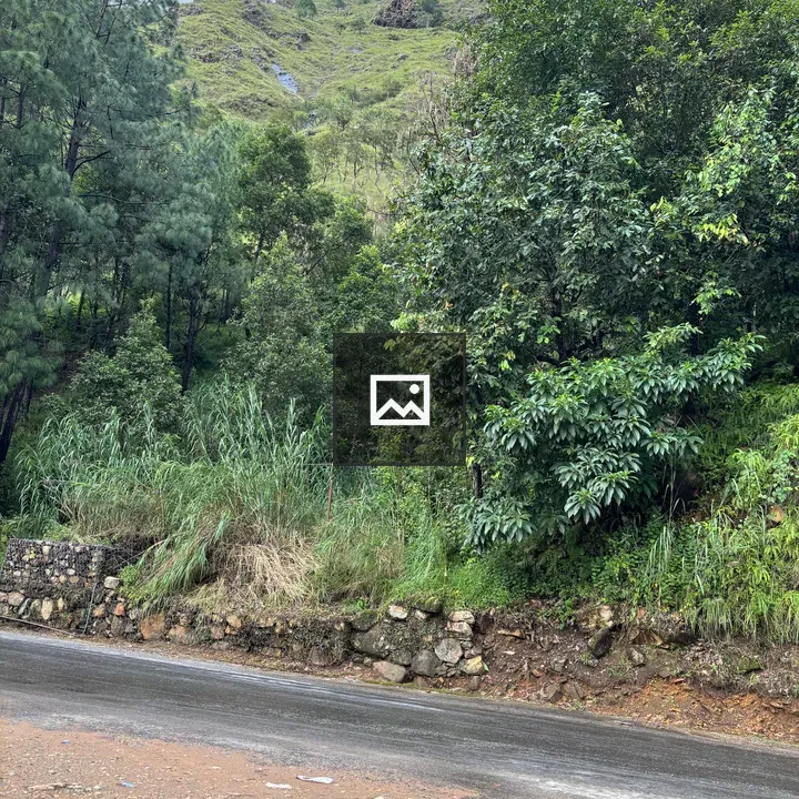 Green hillside scenery