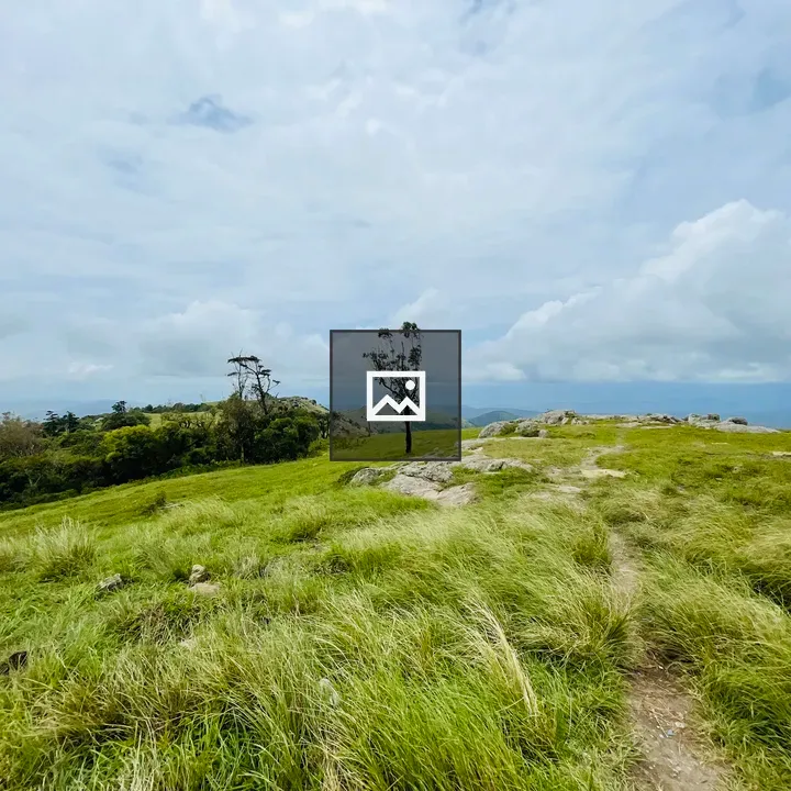 Gopalaswamy Hills Scene