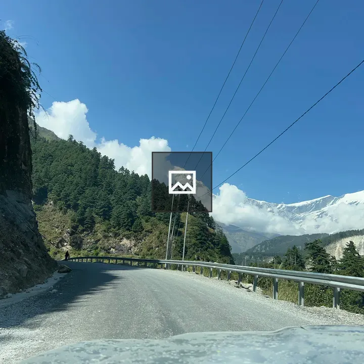 Winding mountain road with pines