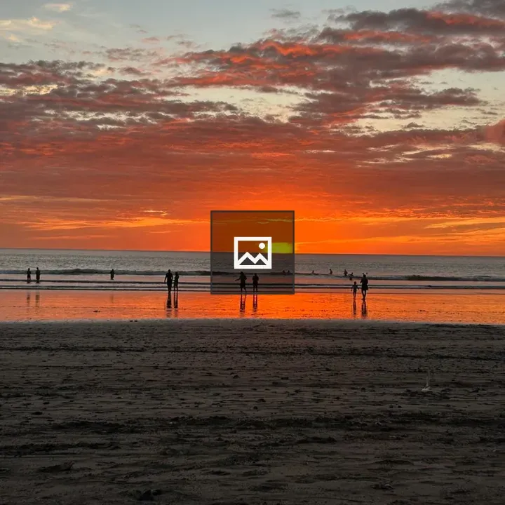 Beach at Sunset with Silhouettes