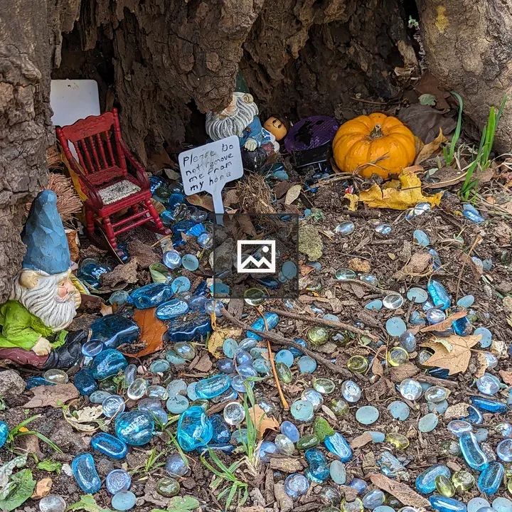 Gnome Home in a Tree Hollow