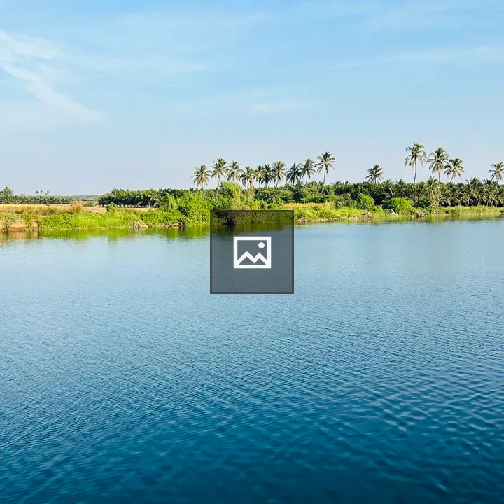 River and palm trees across water